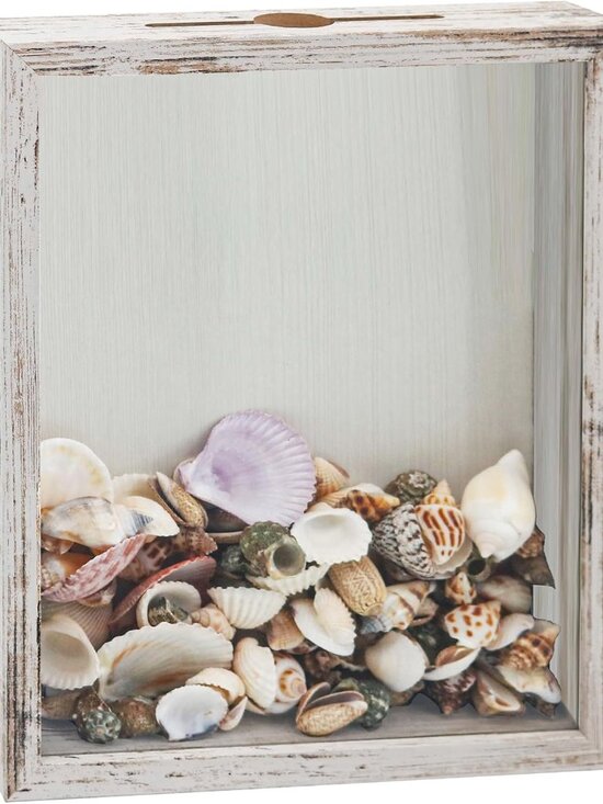 Other - Small Shadow Box Seashell Collection White 8x10 Top Loading Display Case Frame w